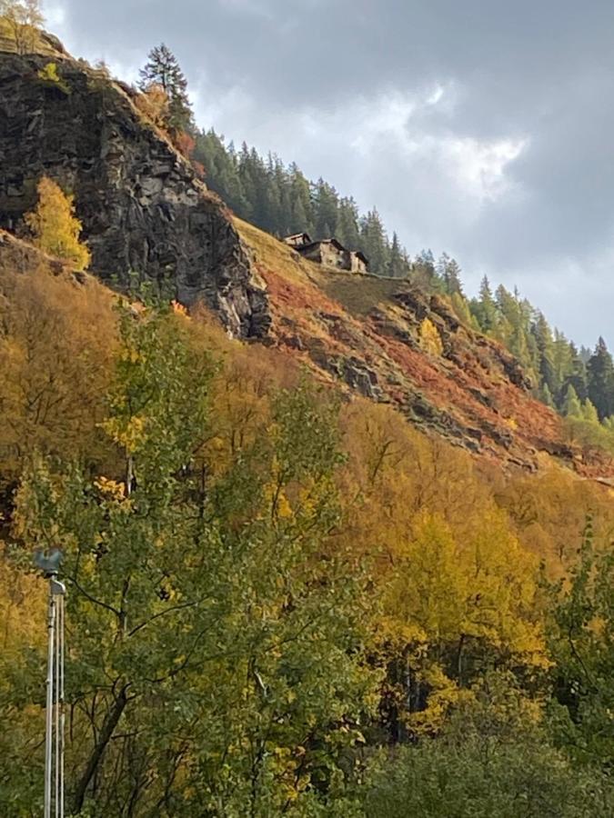 Baita Valtellina. Relax Nel Cuore Delle Alpi Грозио Экстерьер фото
